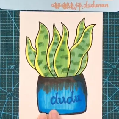 第34节《虎皮兰》